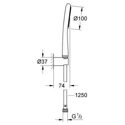 Grohe Rainshower Icon zestaw prysznicowy chrom 27383000