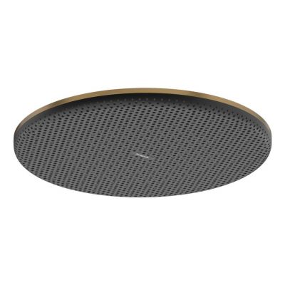 Hansgrohe Raindance Alive S deszczownica 30 cm okrągła brąz szczotkowany 24520140