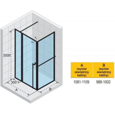 Riho Lucid GD203 kabina prysznicowa 110x100 cm prostokątna czarny mat/szkło przezroczyste G005018121