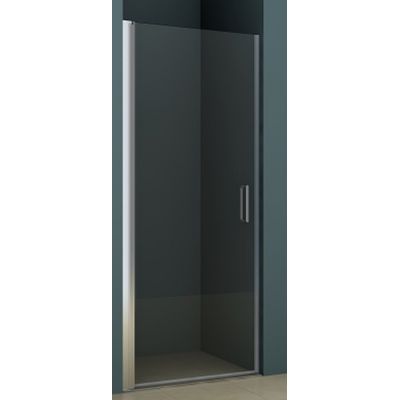 Riho Novik Z101 drzwi prysznicowe 100 cm wnękowe aluminium/szkło przezroczyste GZ1100000