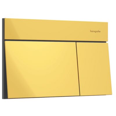 Hansgrohe Element E przycisk spłukujący do WC złoty 66003990