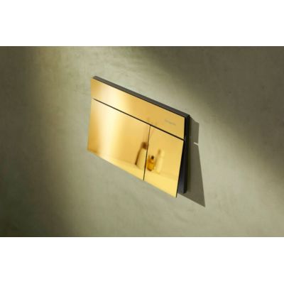 Hansgrohe Element E przycisk spłukujący do WC złoty 66003990