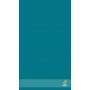 Ręcznik łazienkowy 50 x 90 cm aquamarine Euro 2012 EUR5090N zdj.4