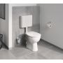 Grohe BauCosmopolitan szczotka toaletowa szkło/chrom 40463001