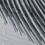 Sealskin Birds zasłona prysznicowa 180x200 cm poliester czarny/biały 800141 zdj.4
