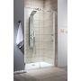 Radaway Espera DWJ drzwi prysznicowe 49,5 cm lewe chrom/szkło przezroczyste 380495-01L zdj.1