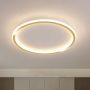 Abigali Modern plafon 1x36W LED złoty/biały MD1803-R50-Y-G zdj.4
