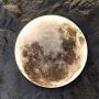 Abigali Moon kinkiet 1x24W LED czarny/biały MOON zdj.7
