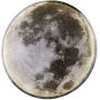 Abigali Moon kinkiet 1x24W LED czarny/biały MOON zdj.4