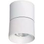 Abruzzo Estetica LED Romeo lampa podsufitowa 1x7 W LED biały ABR-LPR-7W-B-NW zdj.1