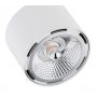 Argon Clevland lampa podsufitowa 2x12W biały 1031BZ zdj.6