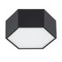 Argon Arizona plafon 1x9W LED czarny 3824 zdj.4