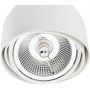 Argon Garland lampa podsufitowa 1x12W biały 4710BZ zdj.4