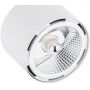 Argon Clevland lampa podsufitowa 3x12W biały 6100BZ zdj.6