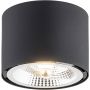 Argon Clevland lampa podsufitowa 1x12W czarny 4691BZ zdj.1