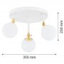 Argon Latina lampa podsufitowa 3x7W biały/mosiądz 1434 zdj.3