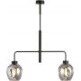 Emibig Lukka lampa podsufitowa 2x60 czarny/szkło grafitowe 1163/2 zdj.1