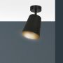 Emibig Prism lampa podsufitowa 1x60W czarny/złoty 406/1 zdj.4