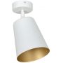 Emibig Prism lampa podsufitowa 1x60W biały/złoty 407/1 zdj.1
