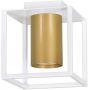 Emibig Tiper lampa podsufitowa 1x30W LED biały/złoty 978/1 zdj.1