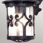 Elstead Lighting Hereford kinkiet zewnętrzny 1x60 W czarny BL8-BLACK zdj.4