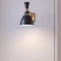Elstead Lighting Joan kinkiet 1x60 W czarny/oksydowany mosiądz FE-JOAN1-MB zdj.3