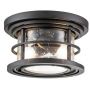 Elstead Lighting Lighthouse plafon zewnętrzny 2x60 W teksturowana czerń FE-LIGHTHOUSE-F-BLK zdj.1