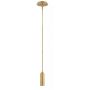 Elstead Lighting Dax lampa wisząca 1x8 W mosiądz HK-DAX-MP-HB zdj.1