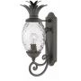 Elstead Lighting Plantation kinkiet zewnętrzny 1x40 W czarny HK-PLANTATION-M-MB zdj.1