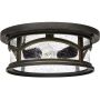 Elstead Lighting Marblehead plafon zewnętrzny 2x60 W palladiański brąz QZ-MARBLEHEAD-F zdj.1