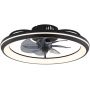 Globo Lighting Celeste lampa podsufitowa z wentylatorem 1x40 W czarna 03643 zdj.1