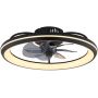 Globo Lighting Celeste lampa podsufitowa z wentylatorem 1x40 W czarna 03643 zdj.3