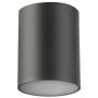 GTV Lento lampa podsufitowa 1x35 W grafitowa OS-LEN100OKG-30 zdj.1