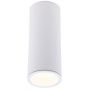 MaxLight Long lampa podsufitowa 1x7W LED biała C0153 zdj.1