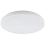 Nowodvorski Lighting Agnes Round LED PRO plafon 1x22 W biały 10977 zdj.1