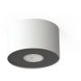 Nowodvorski Lighting Point lampa podsufitowa 1x10 W biała-srebrna-grafitowa 6000 zdj.1