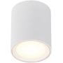Nordlux Fallon lampa podsufitowa 1x5,5W LED biała 47550101 zdj.1