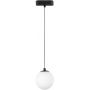 Rabalux LiTrack Pendant lampa do szynoprzewodów 1x5 W biały-czarny 70131 zdj.6