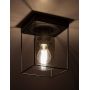 Rabalux Chadwick lampa podsufitowa 1x25W czarny/szkło dymne 71031 zdj.4