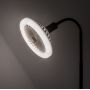 Rabalux Smd-Led żarówka LED 16 W 3000 K E27 79231 zdj.4