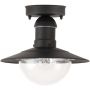 Rabalux Oslo lampa podsufitowa zewnętrzna 1x60 W czarna 8716 zdj.1