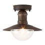 Rabalux Oslo lampa podsufitowa zewnętrzna 1x60 W złota 8736 zdj.4