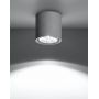 Sollux Lighting Cullo lampa podsufitowa 1x40W szara SL.0645 zdj.4