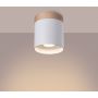 Sollux Lighting Rif lampa podsufitowa 1x10 W biała-drewno SL.1348 zdj.9