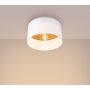 Sollux Lighting Telesto lampa podsufitowa 1x15 W biała- jasny brąz SL.1393 zdj.3