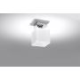 Sollux Lighting Piazza lampa podsufitowa 1x60W biała/chrom SL.0225 zdj.2