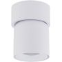 TK Lighting Twist White lampa podsufitowa 1x10 W biała 10576 zdj.1