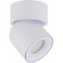 TK Lighting Twist White lampa podsufitowa 1x10 W biała 10576 zdj.3