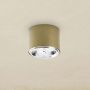TK Lighting Moris lampa podsufitowa 1x12W złota 3349 zdj.4