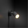 TK Lighting Livia kinkiet 1x10 W szary 10223 zdj.3